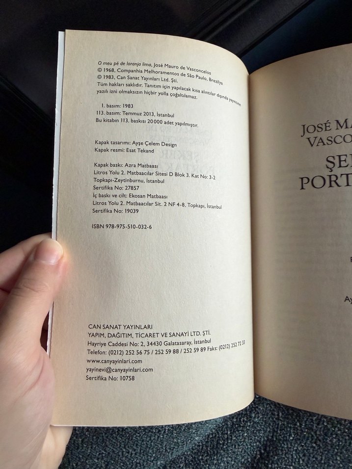 Şeker Portakalı - José Mauro de Vasconcelos - Görsel 3