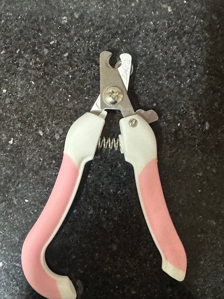 Pembe Kedi köpek Tırnak Makası - Görsel 3