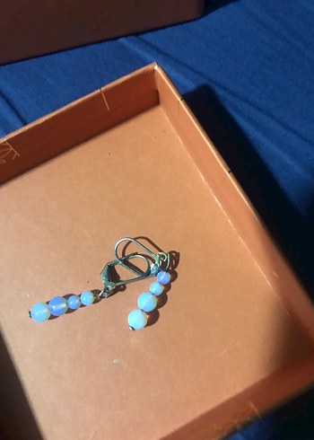 Küpeçeşitkeri - Görsel 18