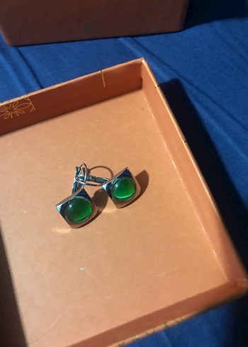 Küpeçeşitkeri - Görsel 19