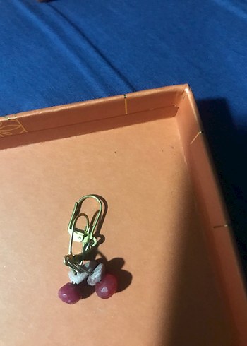 Küpeçeşitkeri - Görsel 13