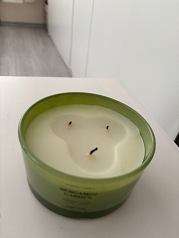 Mudo Concept Bergamot garden mum