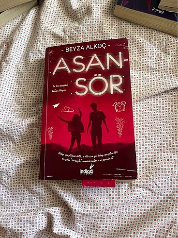 Beyza alkoç romanlarından asansör kitabı