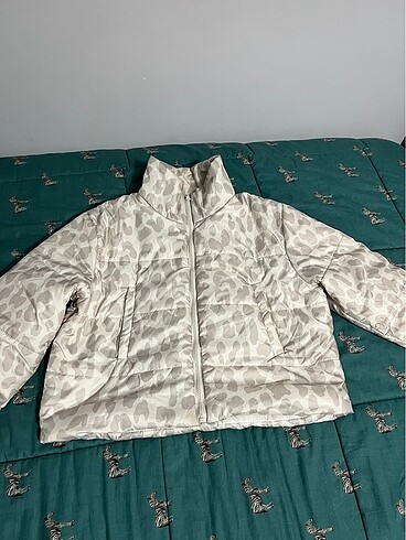 Leopar mont