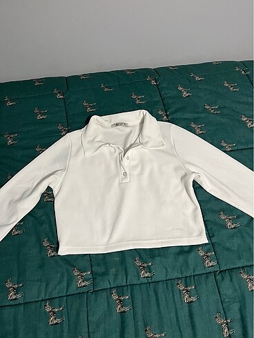 Polo yaks crop