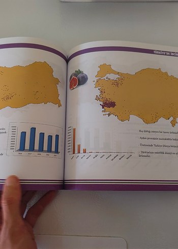 2022 KPSS Haritalarla Coğrafya Kitabı - Görsel 4