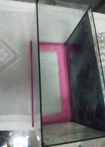 Pembe Cam Akvaryum - Görsel 2