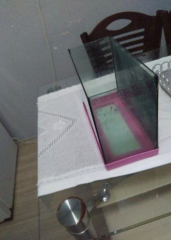 Pembe Cam Akvaryum - Görsel 3