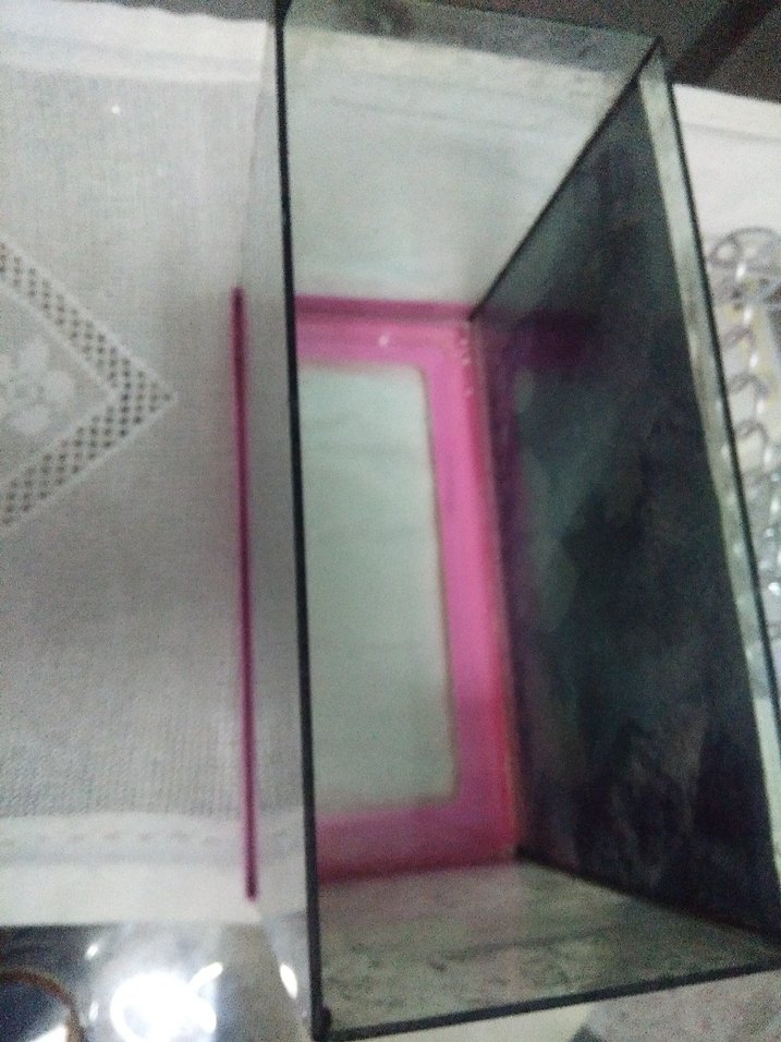 Pembe Cam Akvaryum - Görsel 2