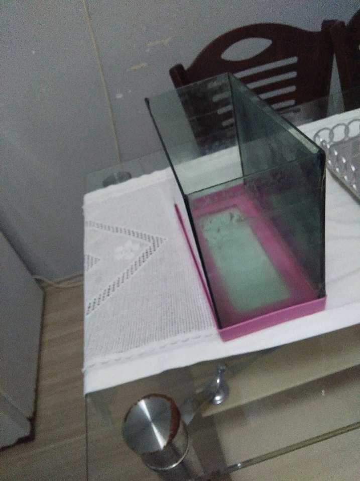 Pembe Cam Akvaryum - Görsel 3