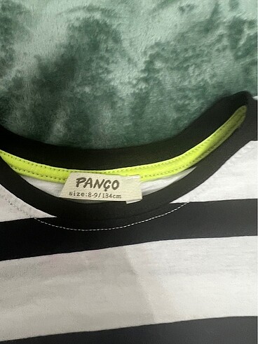 Panço Panço kız çocuk tişört