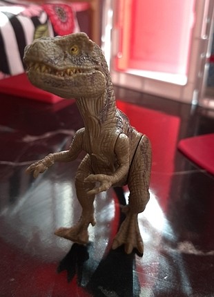 Trex dinazor