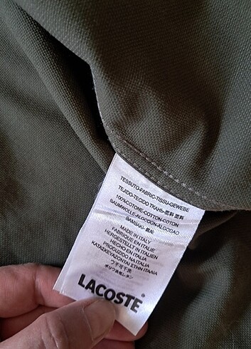 Lacoste Lacoste gömlek 