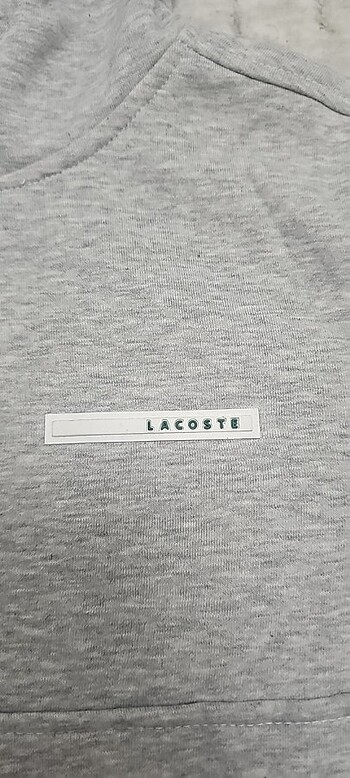 xl Beden LACOSTE