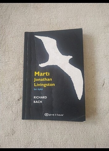 Martı 