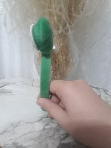  Beden yeşil Renk Kurbağa tacı