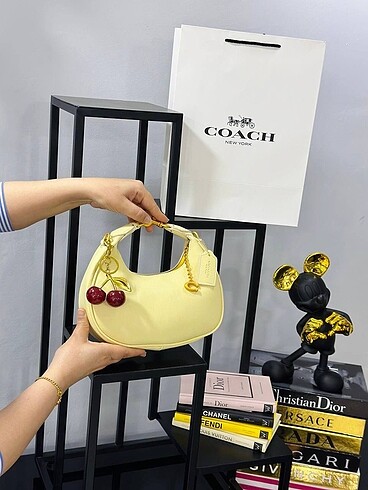 Beden çeşitli Renk Coach Kadın Çanta