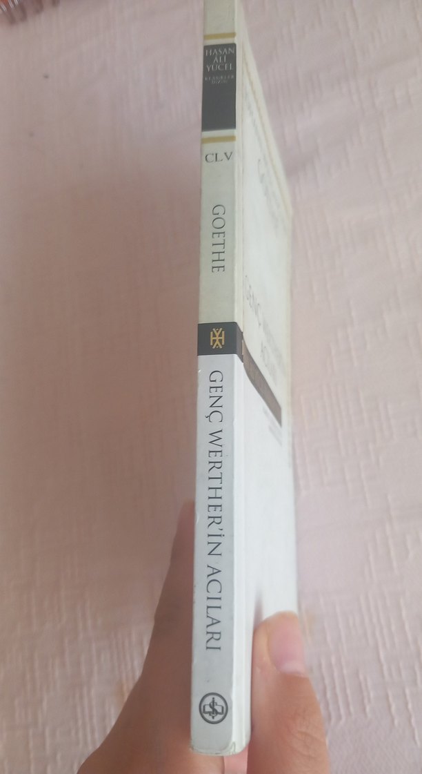 Genç Werther'in Acıları - Johann Wolfgang von Goethe - Görsel 2