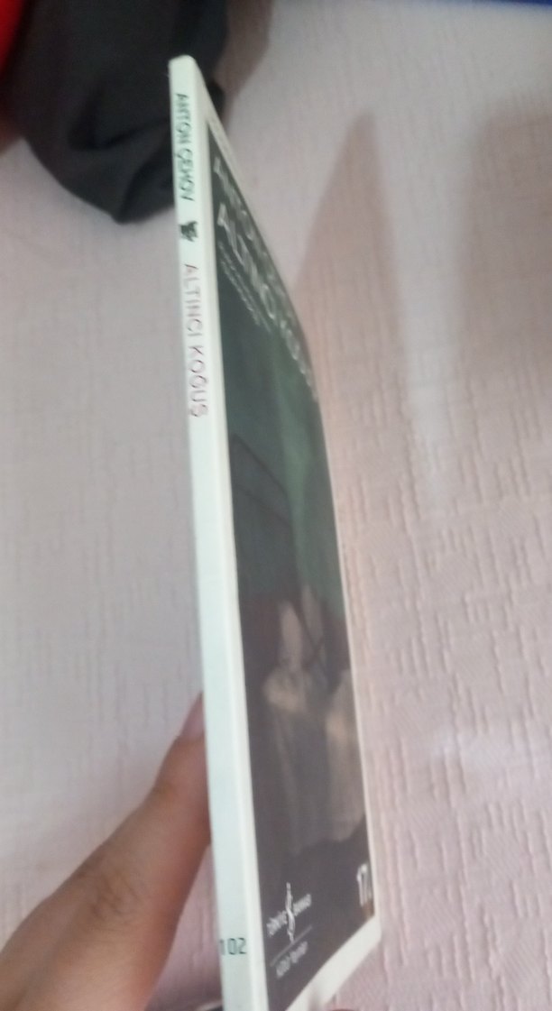 Anton Çehov - Altıncı Koğuş Romanı - Görsel 2