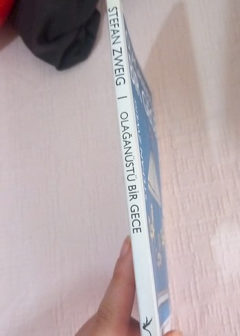 Olağanüstü Bir Gece - Stefan Zweig - Görsel 2