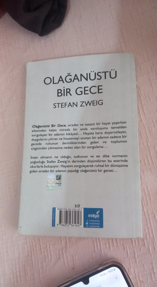 Olağanüstü Bir Gece - Stefan Zweig - Görsel 3