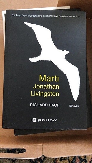 Martı jonathan livingston