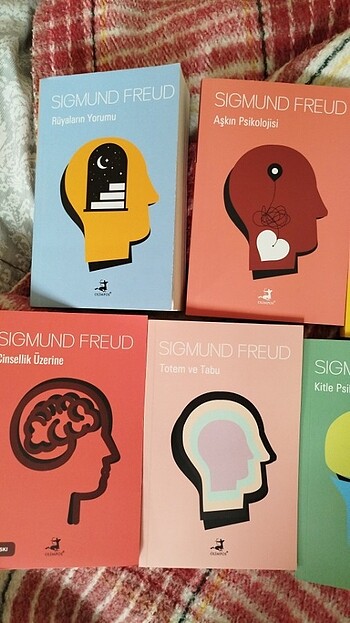 Freud Seti