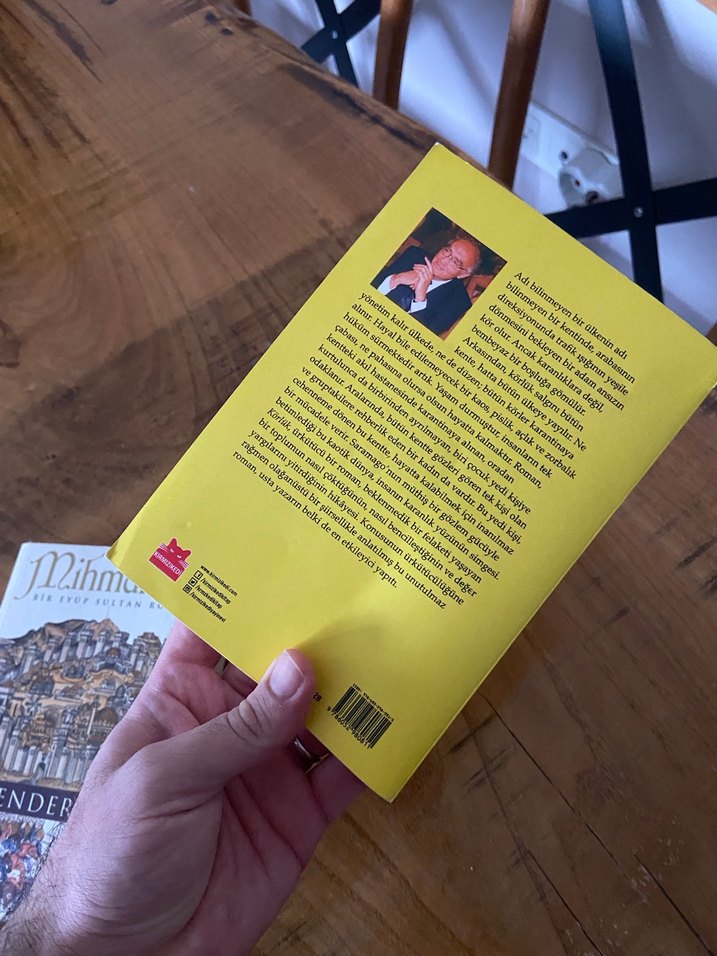 José Saramago - Körlük Romanı - Görsel 2