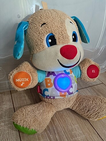 Beden Eğitici köpekçil