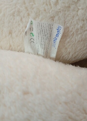 büyük ayı  - Görsel 5