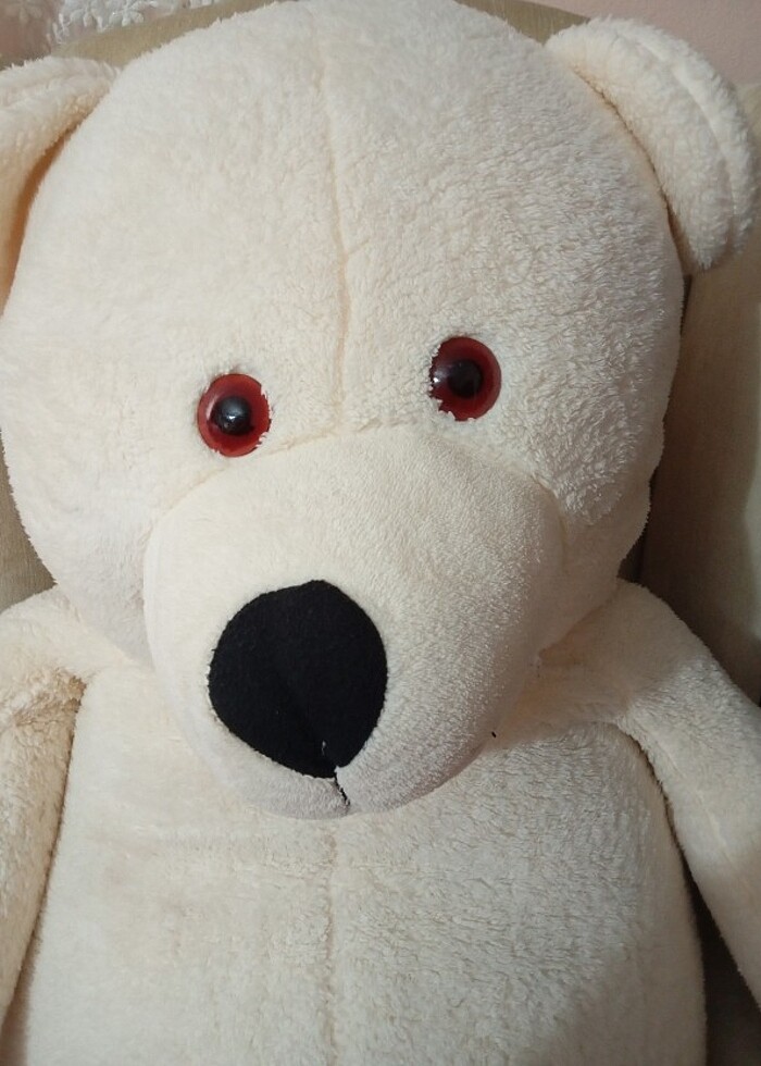 büyük ayı  - Görsel 2