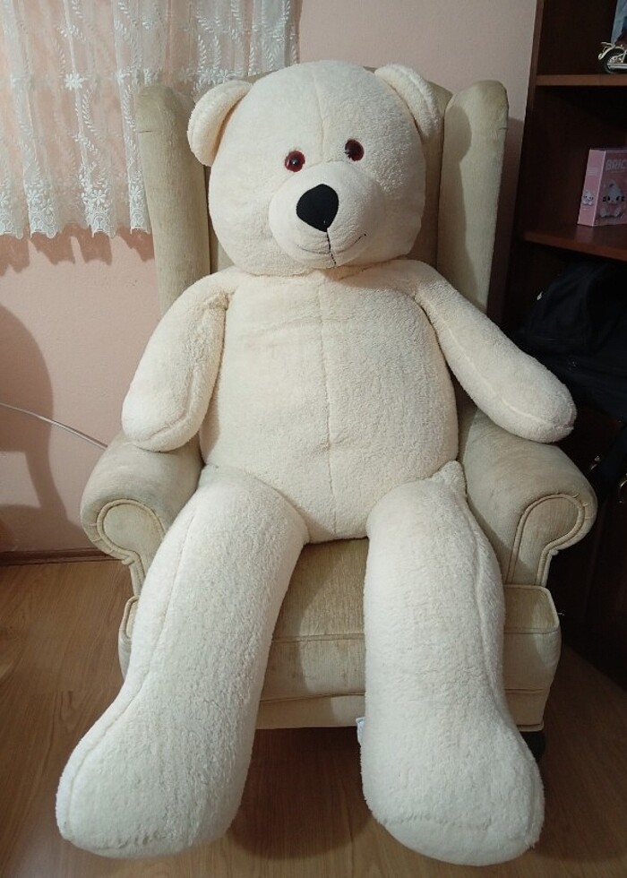 büyük ayı  - Görsel 3