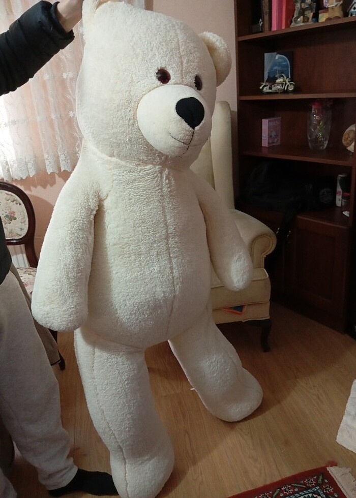 büyük ayı  - Görsel 4