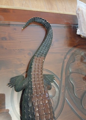 Kahverengi Timsah Figürü - Görsel 5