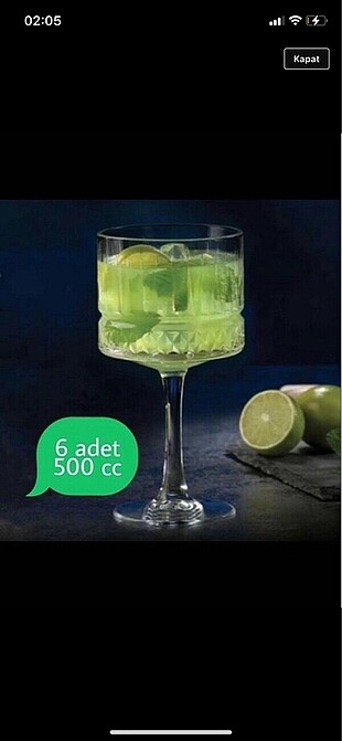 Paşabahçe elysia