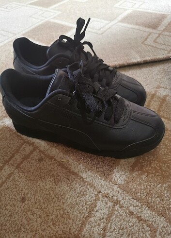Puma Puma roma