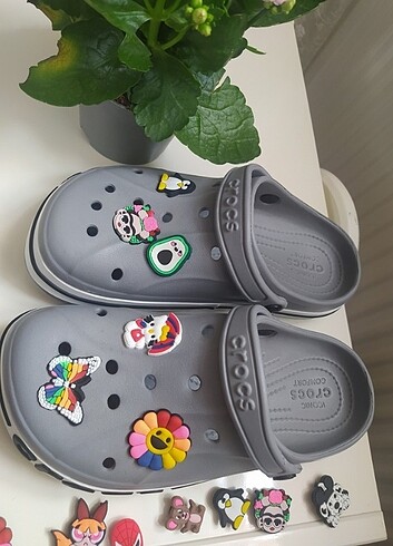 Crocs 