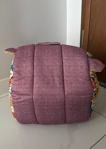  Renkli Mor Kedi köpek evi
