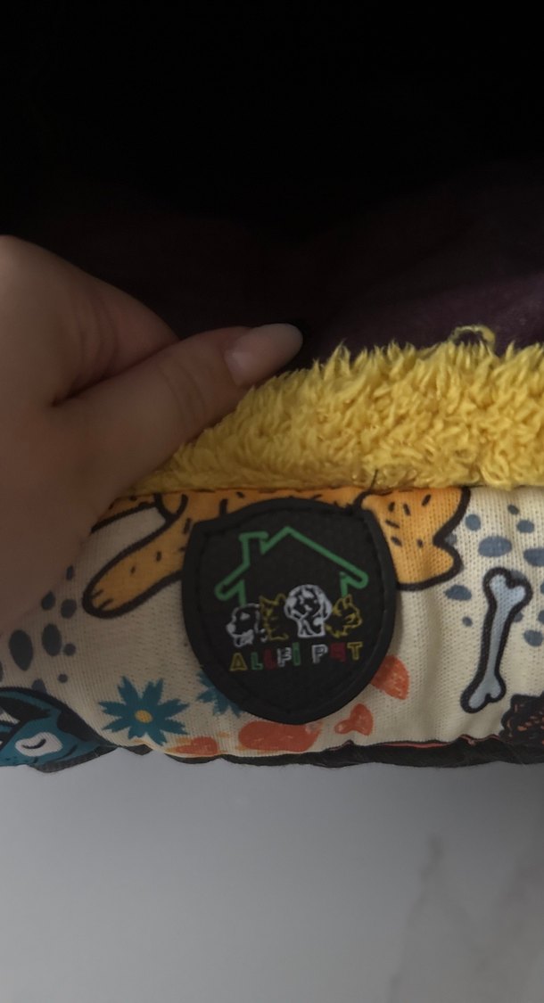 Renkli Mor Kedi köpek evi - Görsel 5