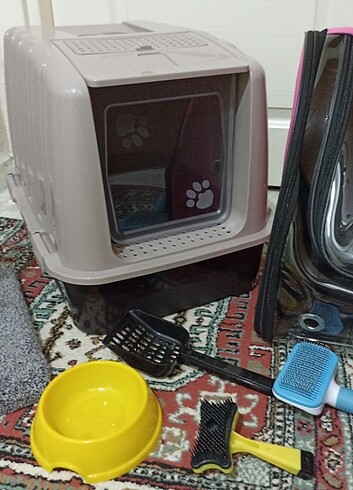 Kediye dair herşey