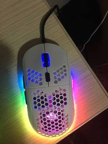 mouse