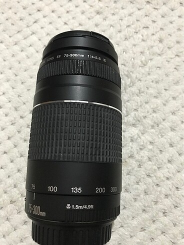 Canon Canon 75-300 lens