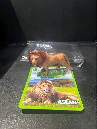 Aslan