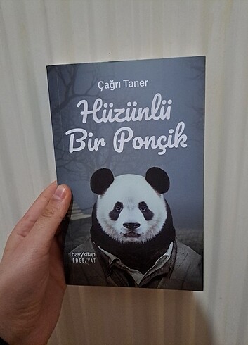 Hüzünlü bir poncik