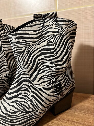 38 Beden Zebra desen bot