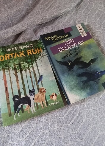 ORTAK RUH VE SİSİN SAKLADIKLARI