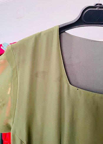 Haki renkli pileli botani - Görsel 4