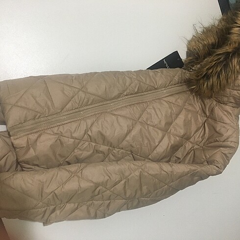 m Beden camel Renk Mevsimlik Mont