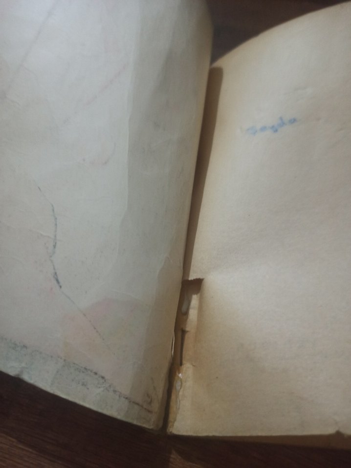 NADİR ESER Kollarımdaki Yabancı 29 TL - Görsel 2