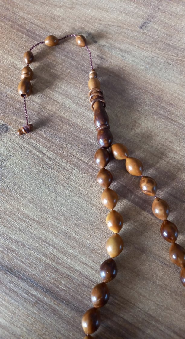 Parlak Bej Minimalist Erkek Tesbih kuka agaci - Görsel 2